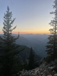 IMG_4295